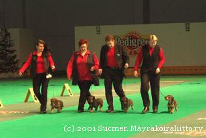 Foto: Pauliina Sjbholm