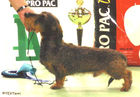 CLICK FOR THE PEDIGREE