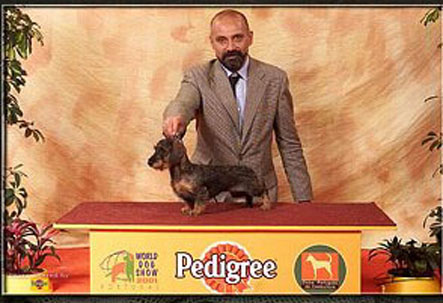 owner: Del Gotha Kennels, Italy