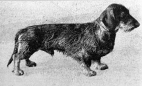 SIDDIH V. HEERLENER ROSENHAUS